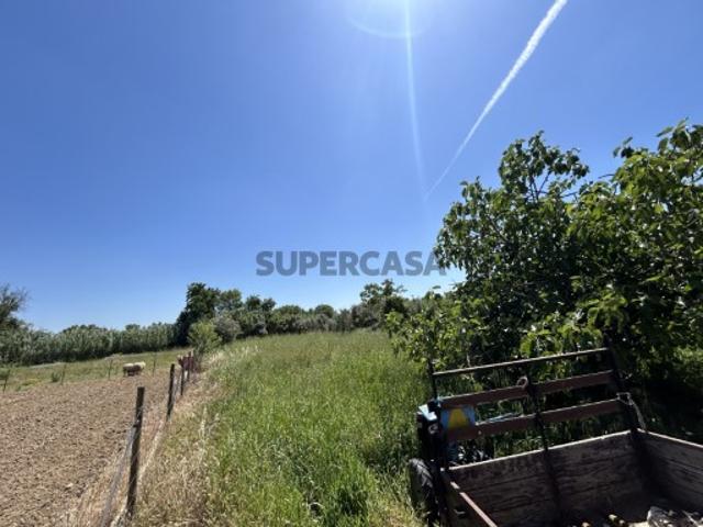 Terreno venda em Bairrada, Tomar