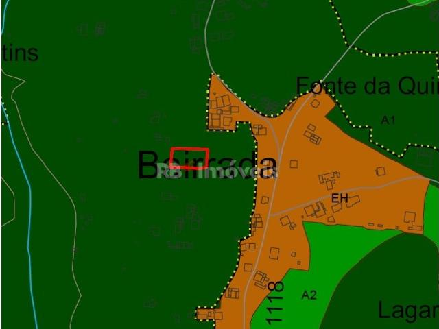 Terreno venda em São Pedro De Tomar, Vermoeiros