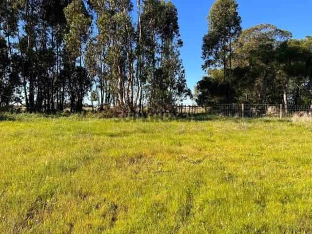 Terreno venda em Castelo Branco