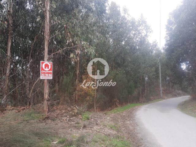 Terreno venda em Celorico De Basto, Braga