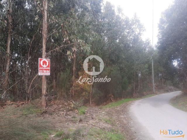 Terreno venda em Celorico De Basto, Braga
