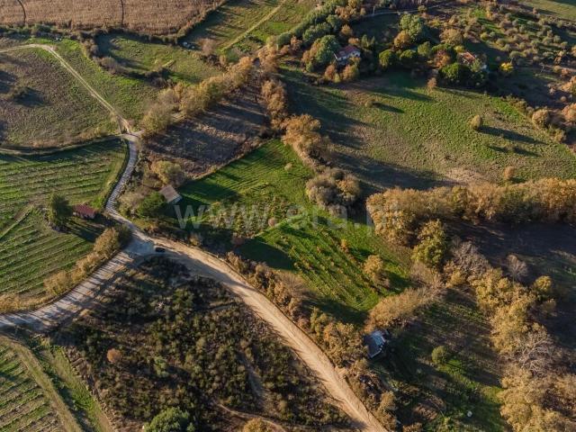 Terreno venda em Castelo Branco, Caria