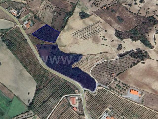 Terreno venda em Castelo Branco, Caria