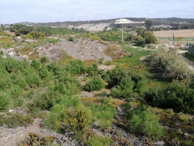Terreno venda em Óbidos, Amoreira
