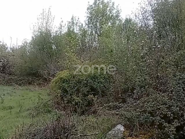 Terreno venda em Santa Cruz/Trindade e Sanjurge, Chaves