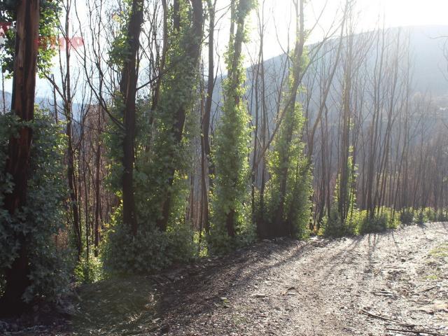 Terreno venda em Arouca, Espiunca