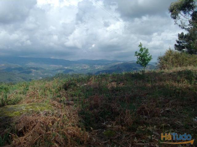 Terreno venda em Parada Do Bouro, Braga