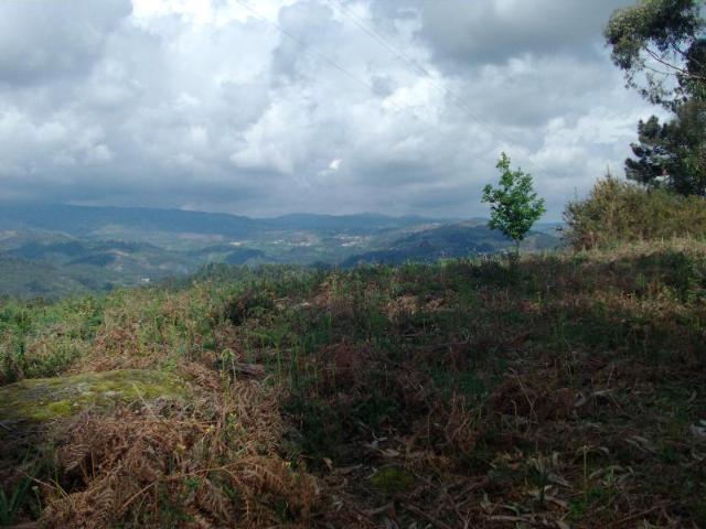 Terreno venda em Parada Do Bouro, Braga