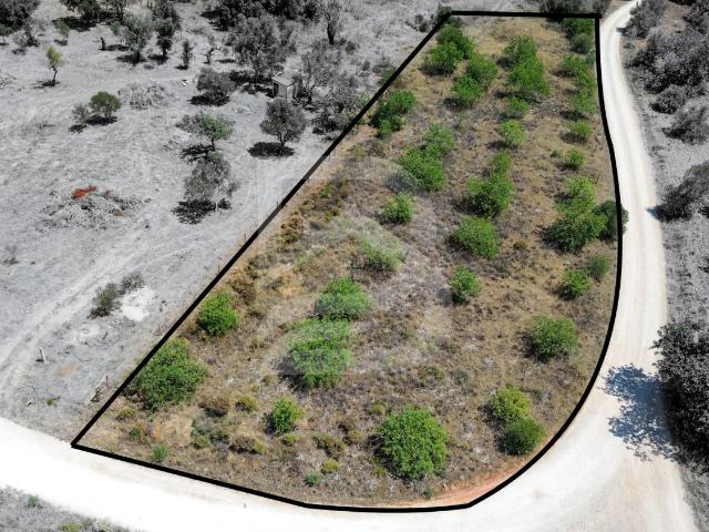 Terreno venda em São Bartolomeu De Messines, Faro