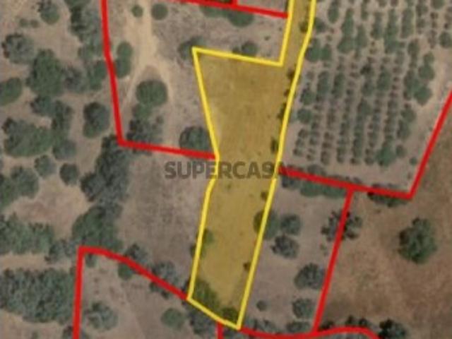 Terreno venda em Vales de Pera, Alcantarilha