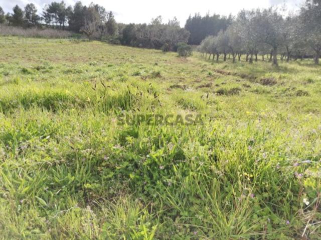 Terreno venda em Vila Flor, Bragança