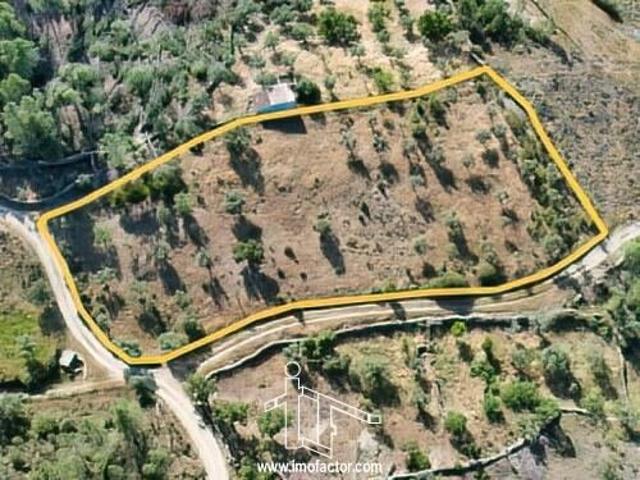 Terreno venda em Castelo Branco