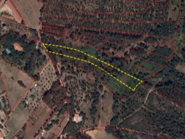 Terreno venda em Boiças, Rio Maior
