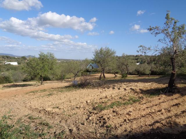 Terreno venda em Marcos Mendes, Loulé