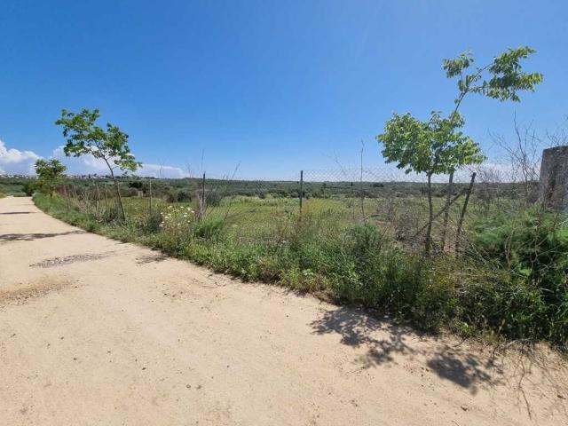 Terreno en venta en Bormujos, Andalucía