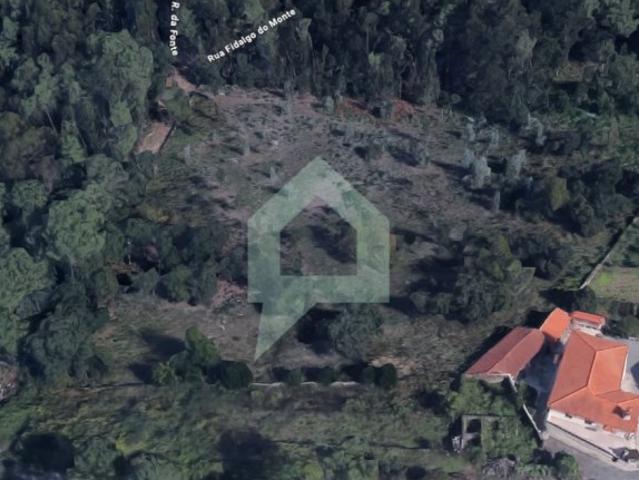 Terreno venda em Carvalhal, Barcelos