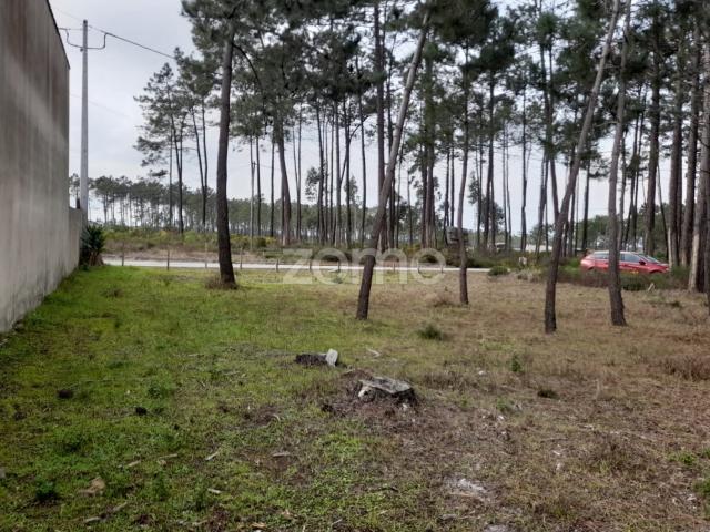 Terreno venda em Alcobaça, Leiria