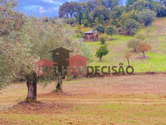 Terreno venda em Torres Novas, Santarém