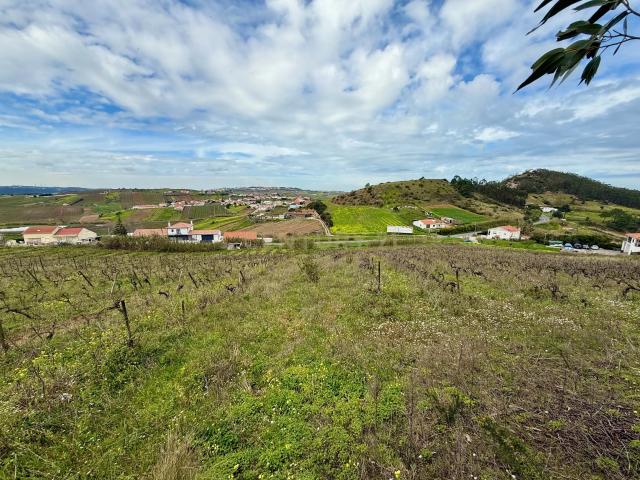 Terreno venda em Torres Vedras, Lisboa