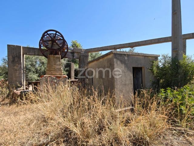Terreno venda em São Bartolomeu De Messines, Faro