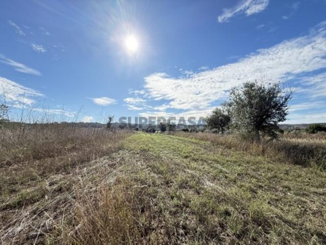 Terreno venda em Abrantes, Santarém