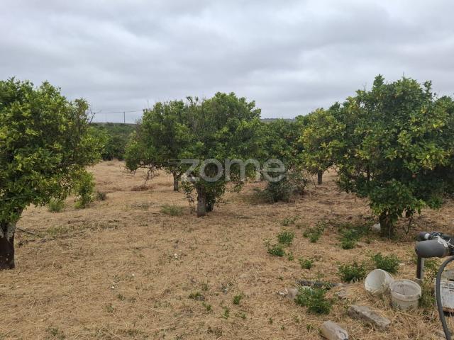 Terreno venda em São Bartolomeu De Messines, Faro