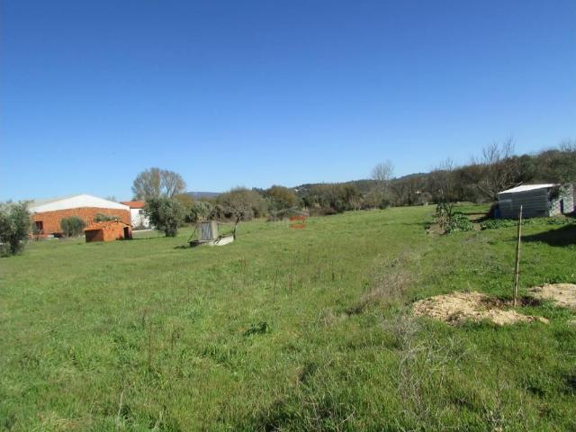 Terreno venda em Vale do Carro, Ourém