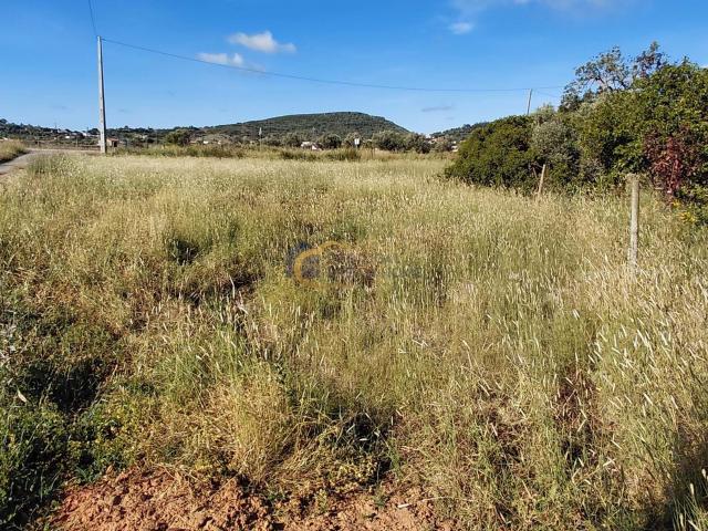 Quinta venda em São Bartolomeu De Messines, Faro