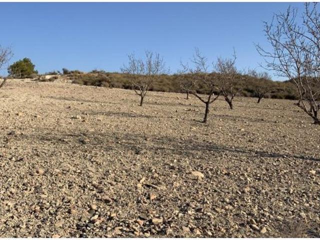 Local Comercial en venta en Rincones, Bajo Guadalentín