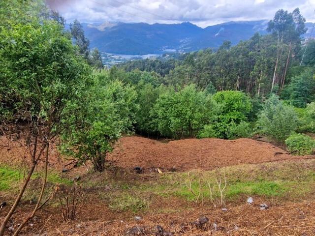 Terreno venda em Calvelos, Parada Do Bouro