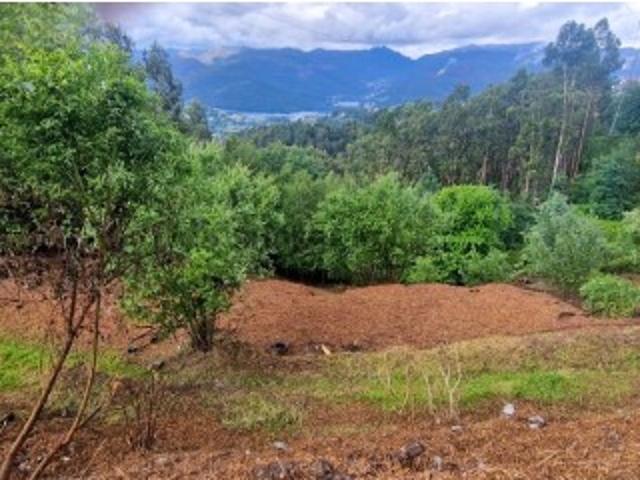 Terreno venda em Rechã, Parada Do Bouro