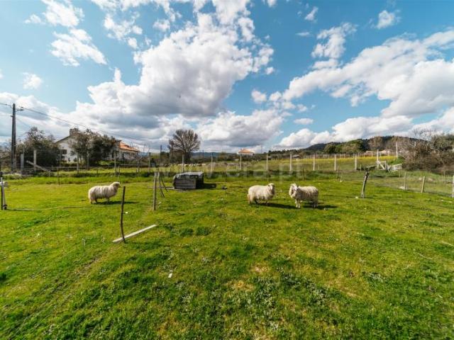 Terreno venda em Belmonte