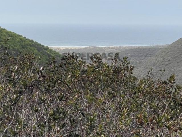 Terreno venda em Aljezur, Bordeira Terreno venda em Aljezur, Bordeira