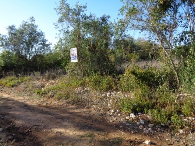 Terreno venda em Cartaxo, Santarém