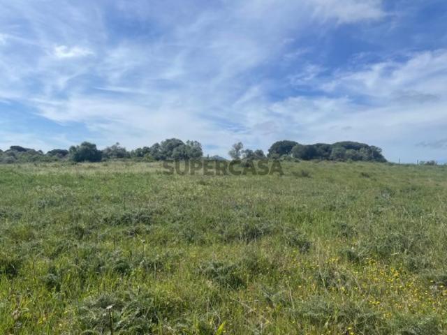 Terreno venda em Sintra, Lisboa