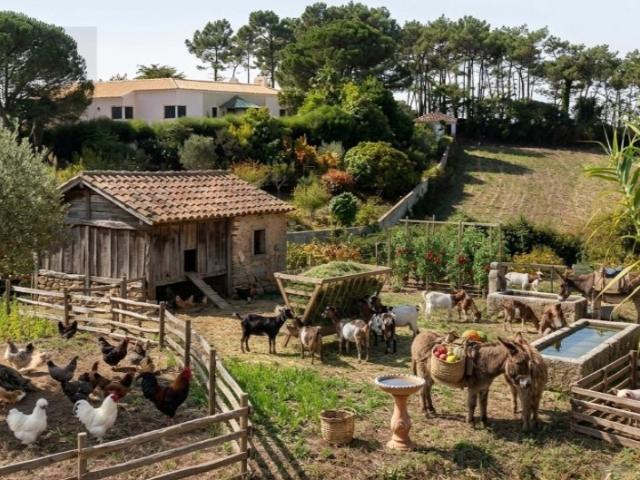 Terreno venda em Ventureira, Mafra