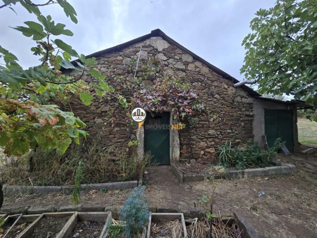 Terreno venda em Castelo Branco