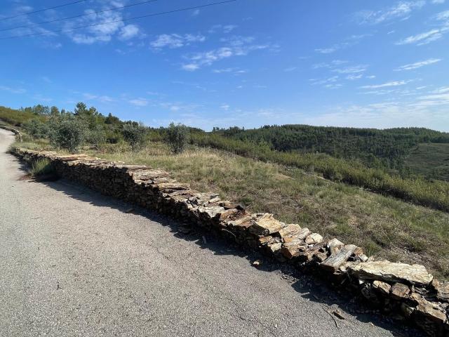 Terreno venda em Castelo Branco