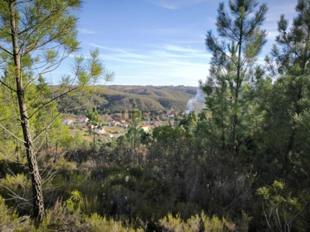 Terreno venda em Castelo Branco, Proença-a-nova