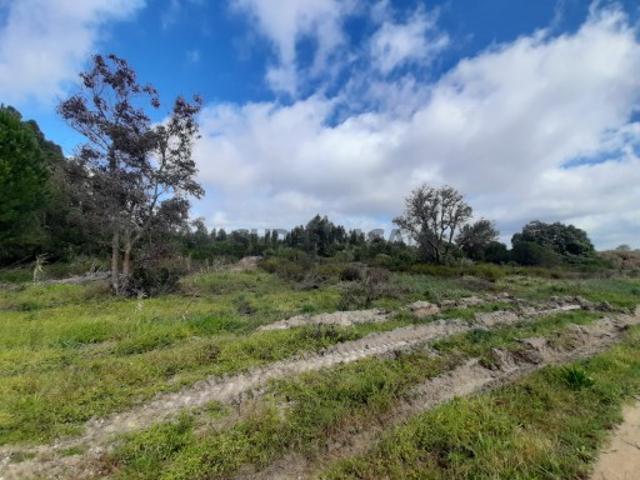 Terreno venda em Pegões-Gare, Montijo