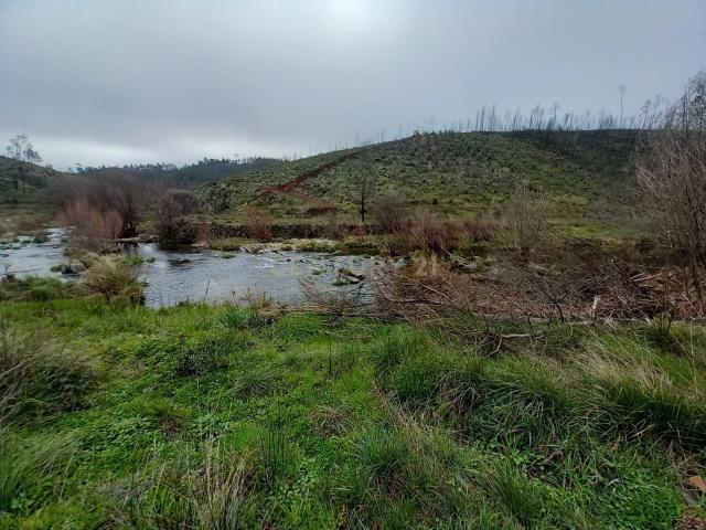 Terreno venda em Castelo Branco