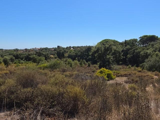 Terreno venda em Silves, Faro