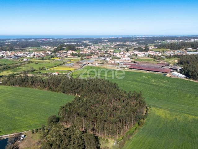 Terreno venda em Maia, Vila Do Conde