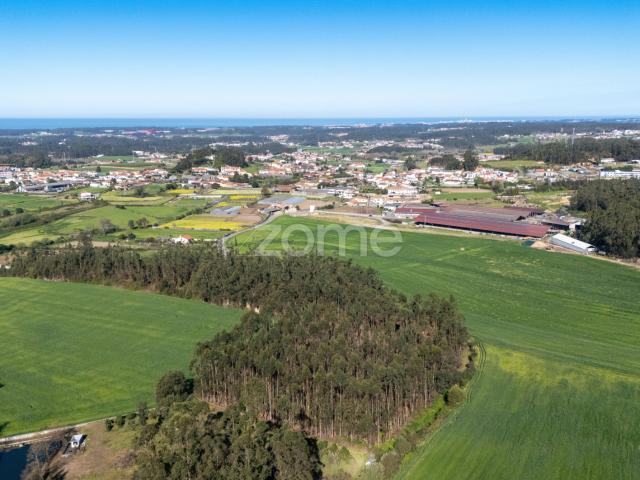 Terreno venda em Maia, Vila Do Conde