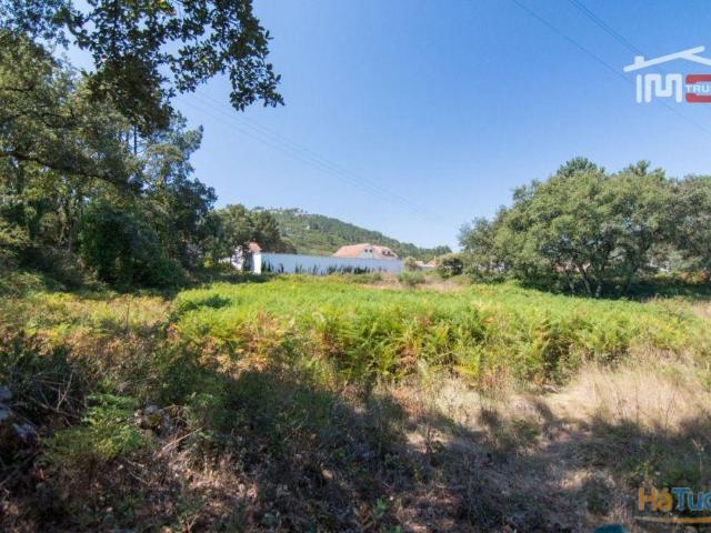 Terreno venda em Porto De Mós, Leiria