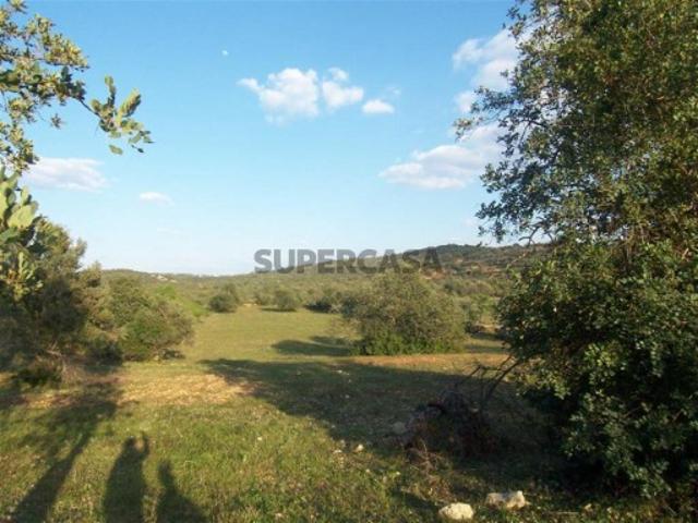 Terreno venda em Albufeira, Faro