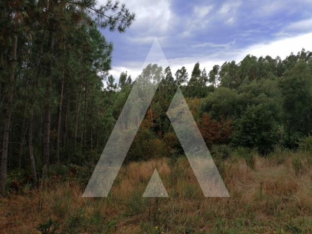 Terreno venda em Águeda, Aveiro