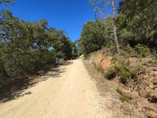 Terreno venda em Rego Da Murta, Santarém