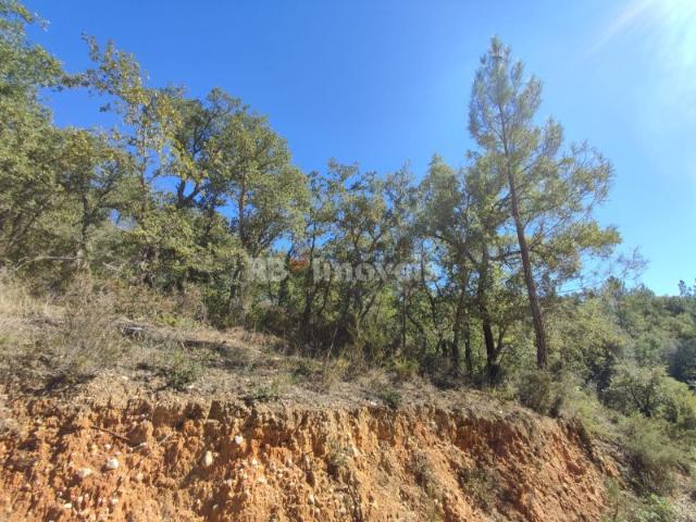 Terreno venda em Rego Da Murta, Santarém