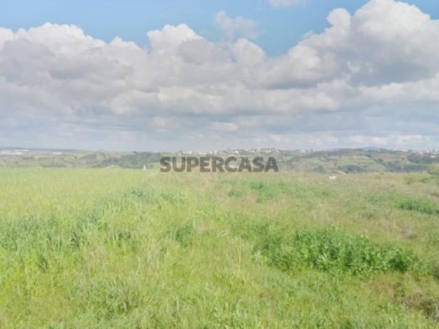 Terreno venda em Lourinhã